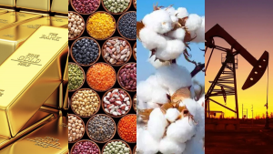 Commodities Erion